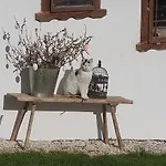 Stroneggerhof Apartment *