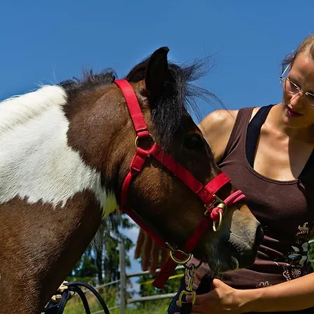 Stroneggerhof Apartman Rieding