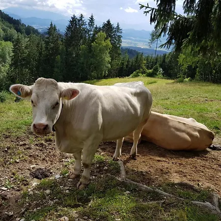 Stroneggerhof Apartment *