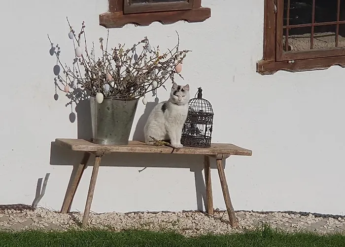 Stroneggerhof Apartment *