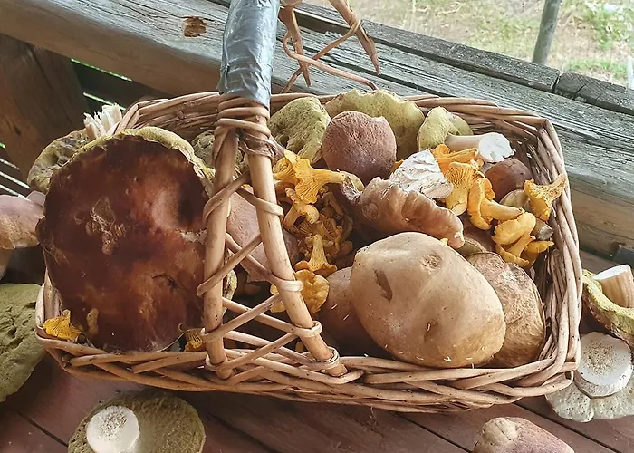 Stroneggerhof * Rieding