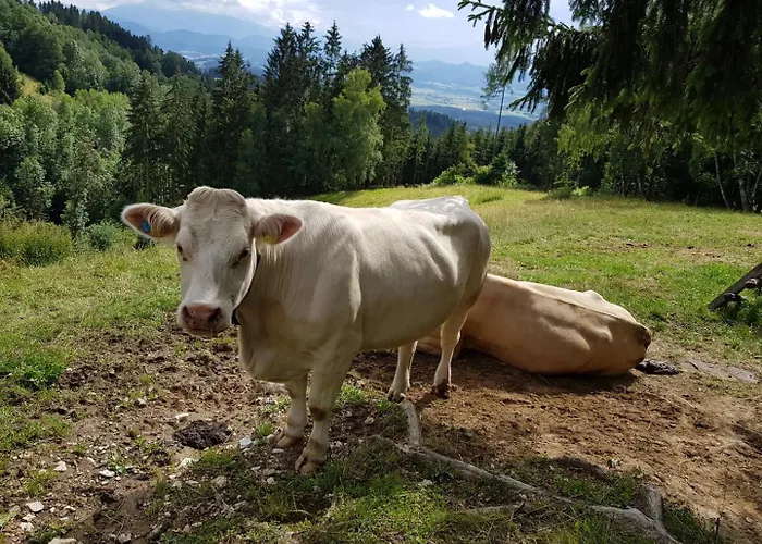 Stroneggerhof Apartment *